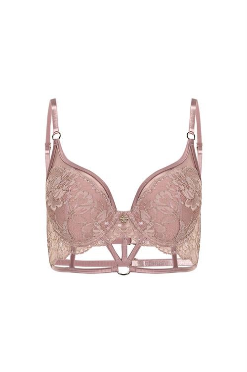 karlotta Lace deried rose push up bra