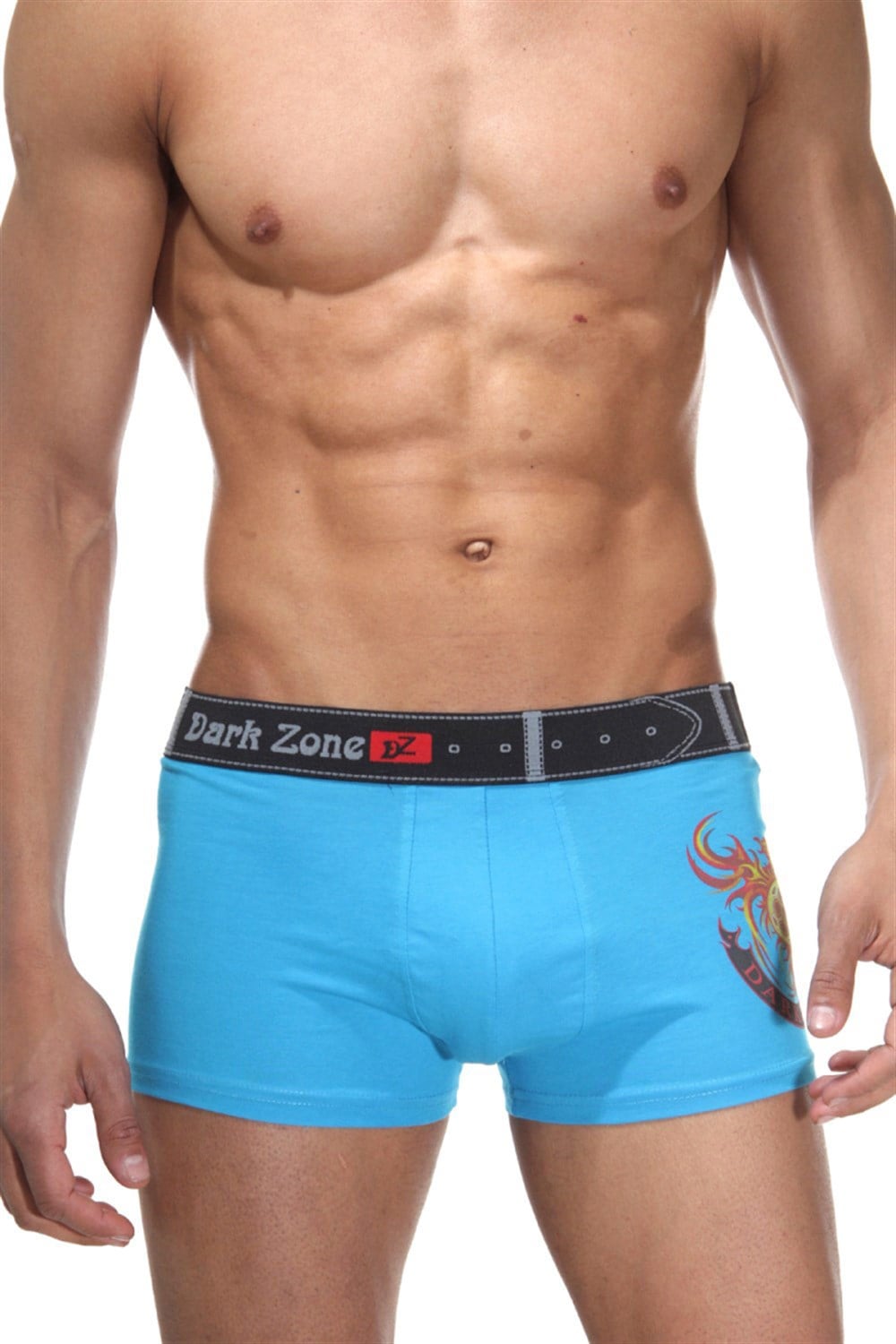 Alev Desenli Mavi Boxer - DZN5004