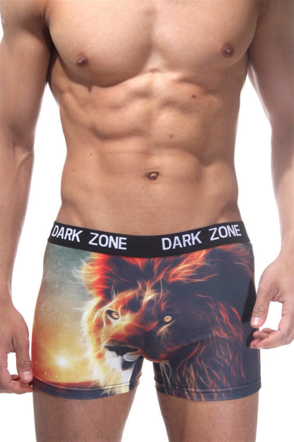 Aslan Desenli Renkli 3D Boxer - DZN1052