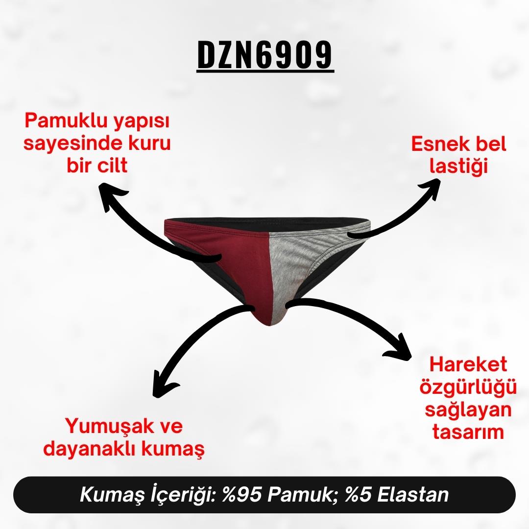 Bordo Gri Erkek Slip - DZN6909