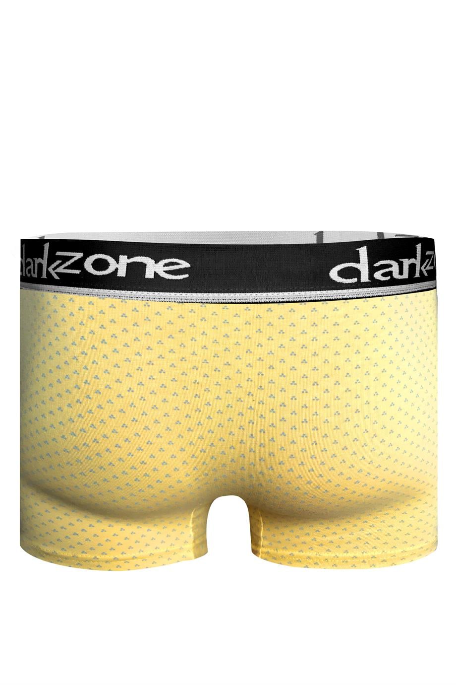 Desenli Sarı Erkek Boxer - DZN2671