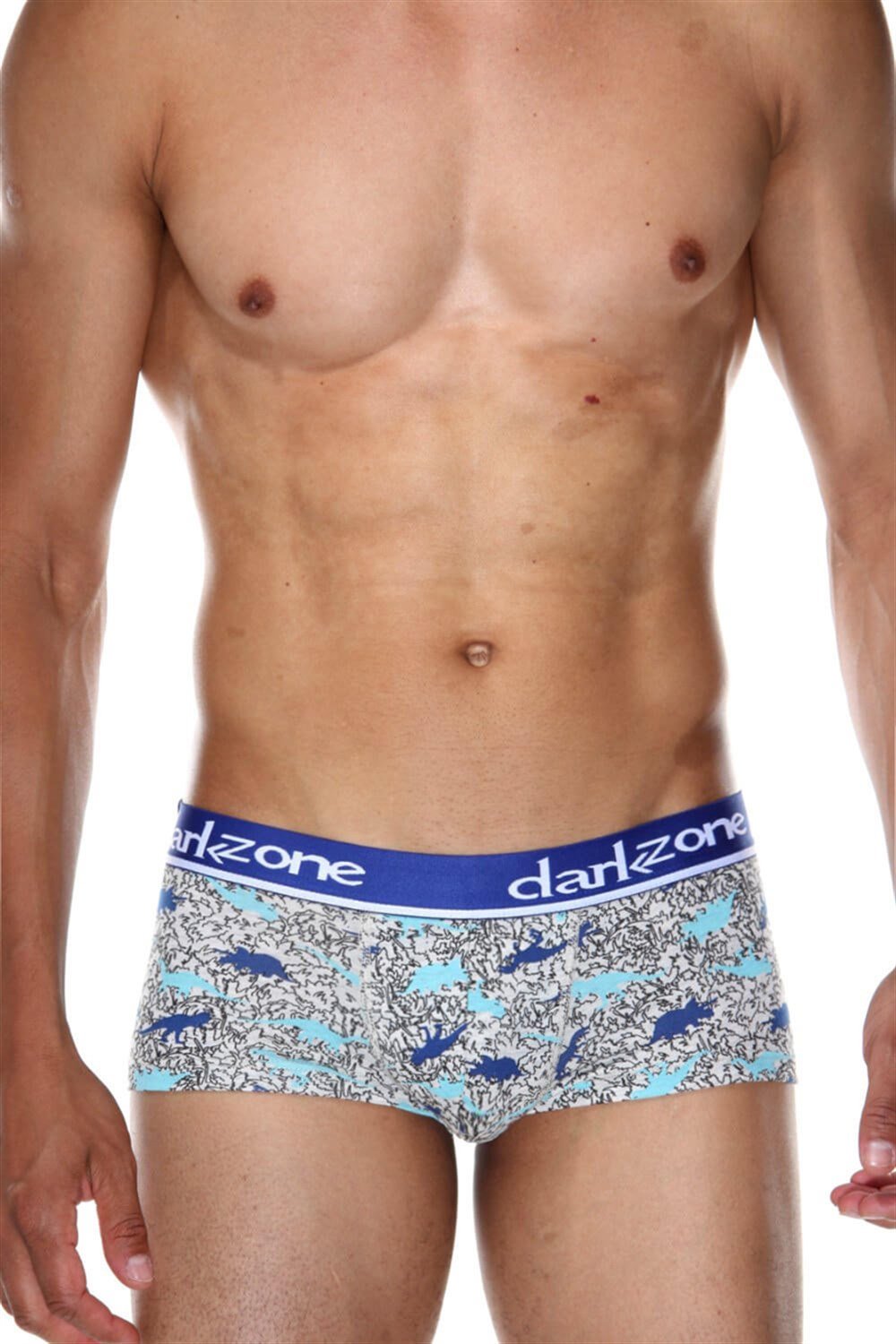 Dinazor Desenli Kısa Erkek Boxer - DZN3314