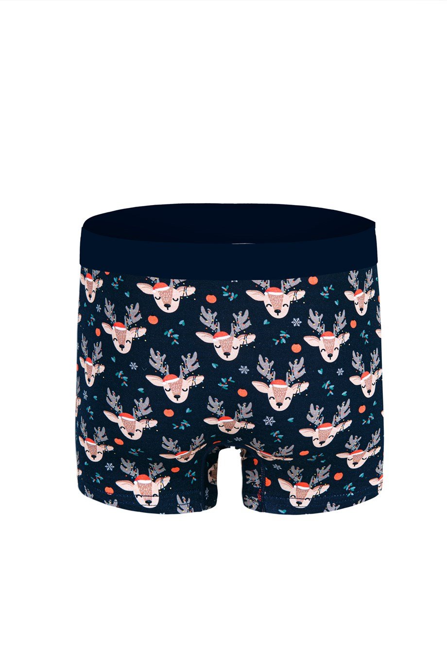 Geyik Desenli Yılbaşı Erkek Boxer (Dijital Baskılı) - DZNNY0003