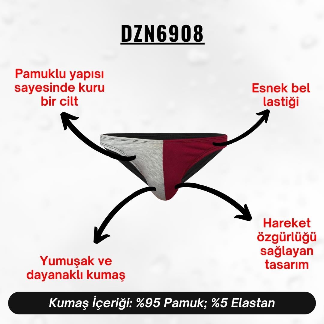 Gri Bordo Erkek Slip - DZN6908