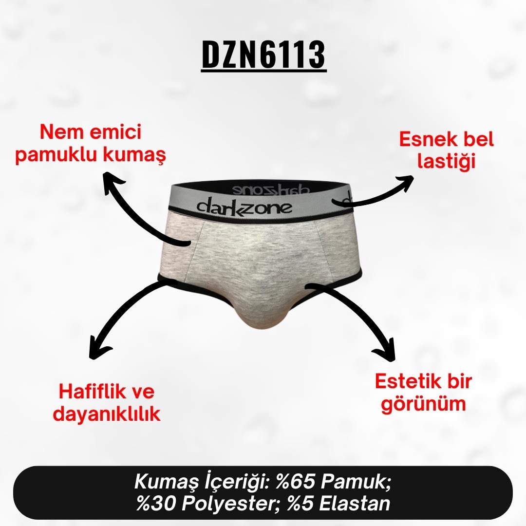 Gri Hipster Erkek Slip - DZN6113