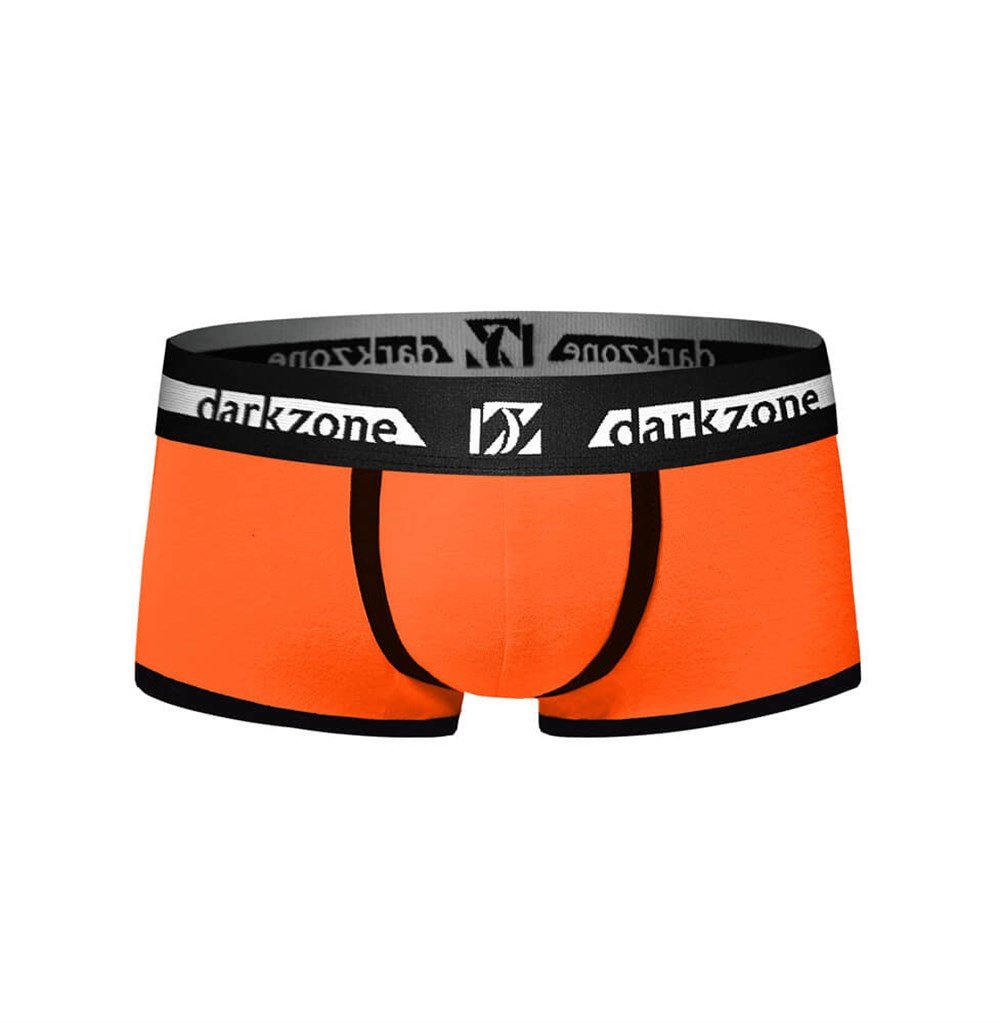 Biyeli Turuncu Erkek Boxer - DZN3208