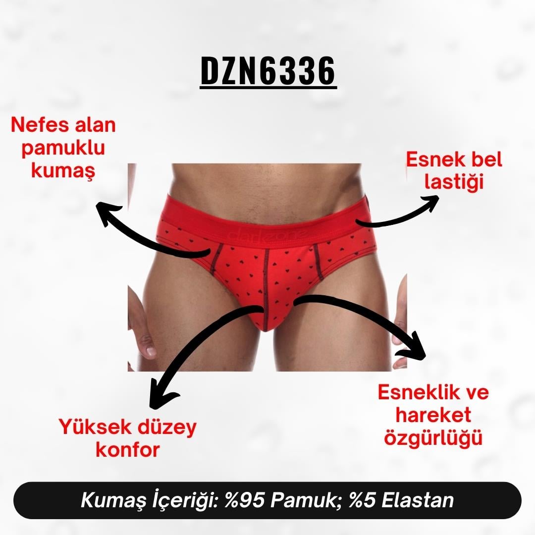 Lastikli Kalp Desenli Kırmızı Erkek Slip - DZN6336