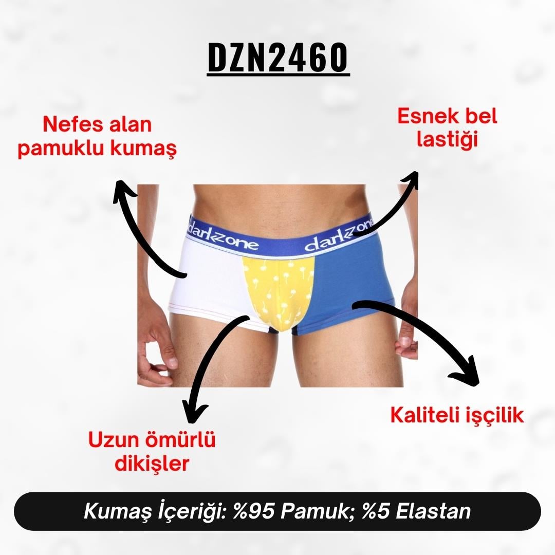 Renkli Erkek Hipster Boxer - DZN2460