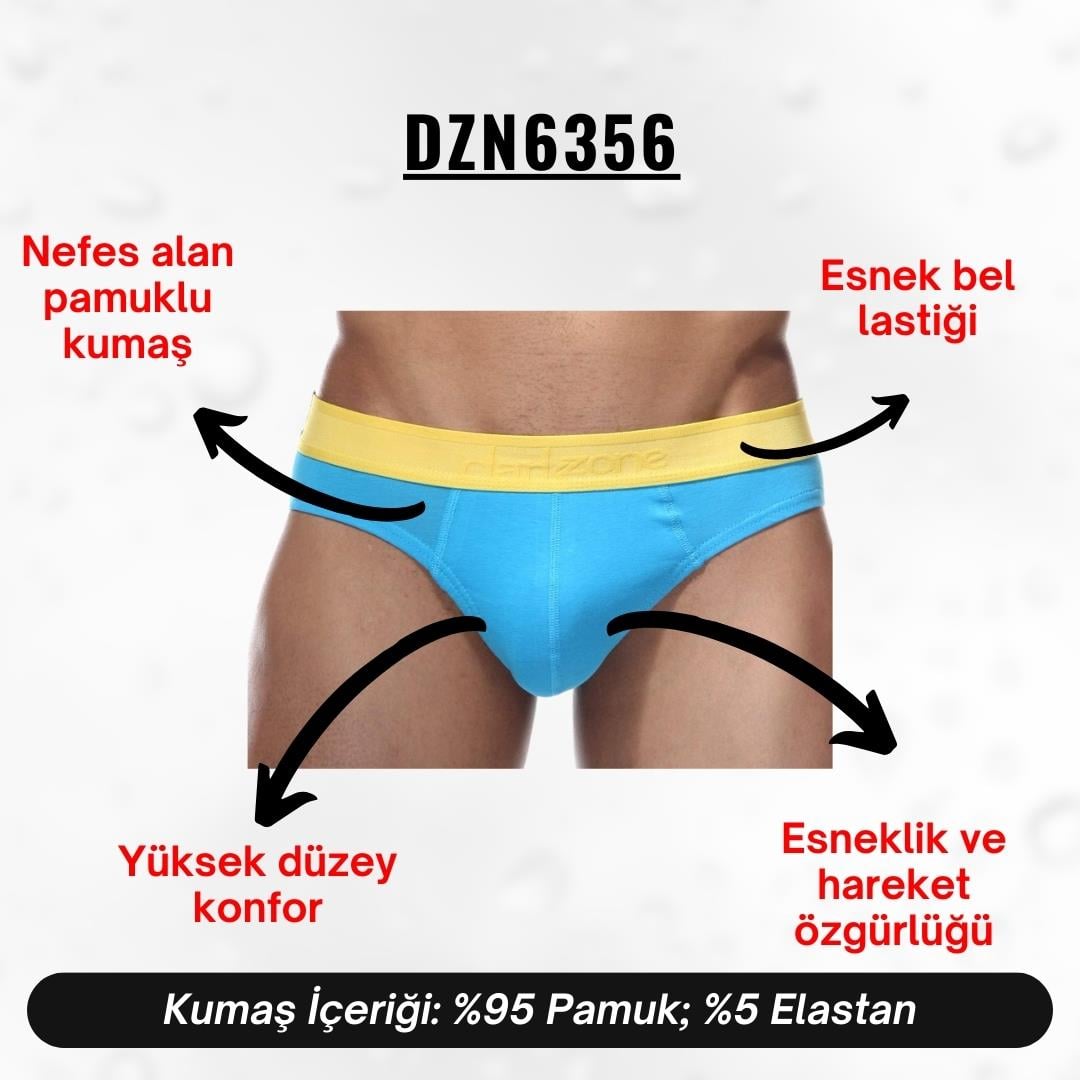 Renkli Erkek Slip - DZN6356