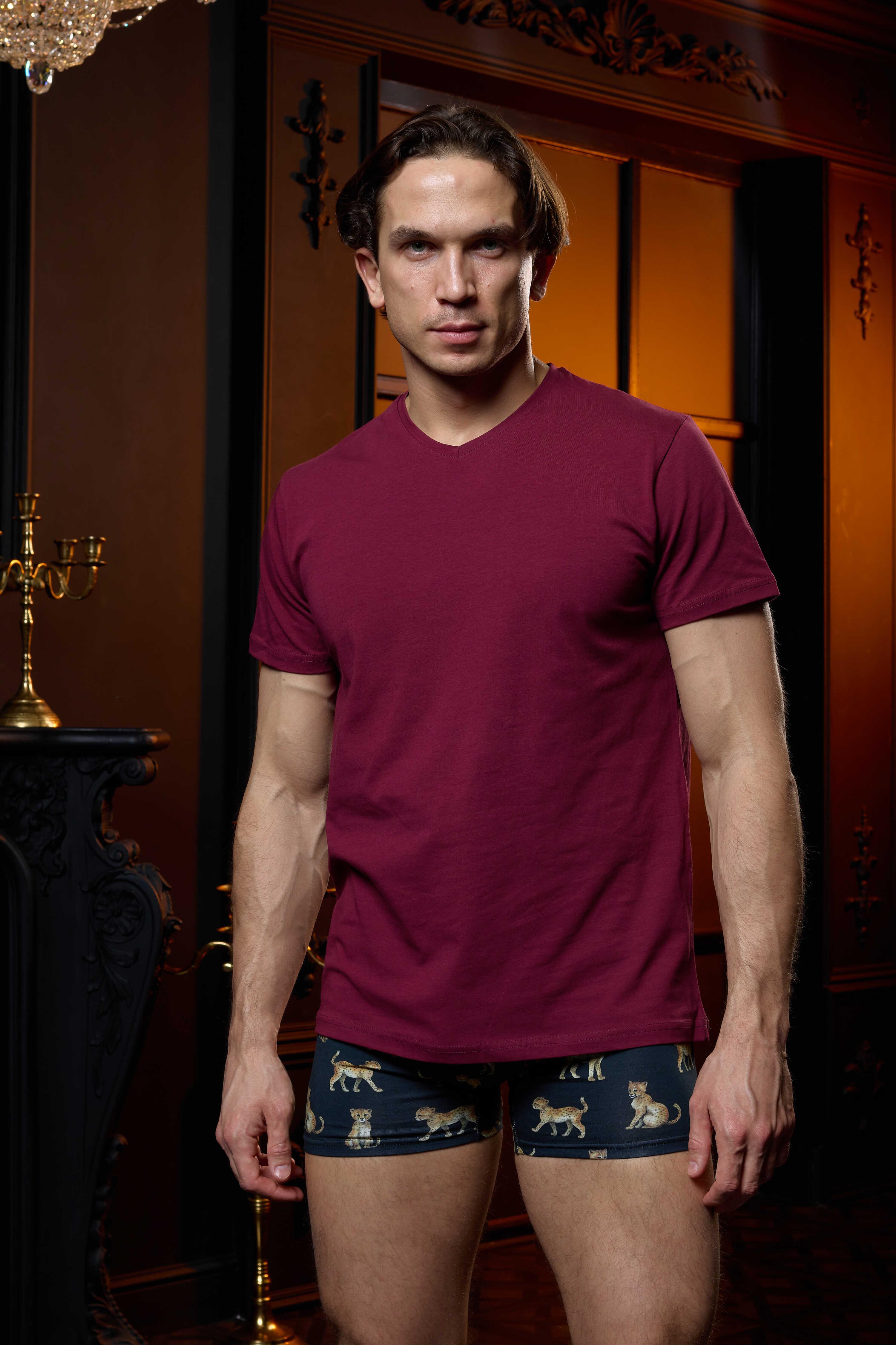 V Yaka Bordo Erkek T-Shirt - DZN8620