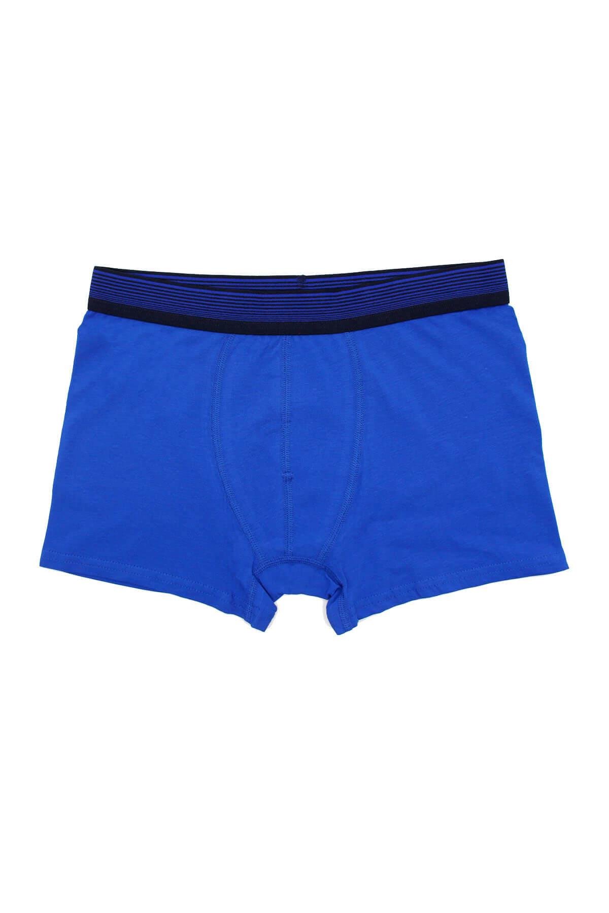 Wild Dog Erkek Pamuklu Saks Klasik Boxer - WD0003