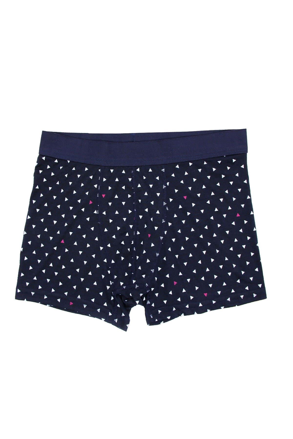 Wild Dog Erkek Pamuklu Üçgen Desenli Lacivert Klasik Boxer - WD0018
