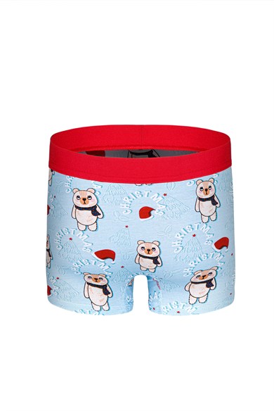 Ayıcık Desenli Yılbaşı Erkek Boxer (Dijital Baskılı) - DZNNY0004