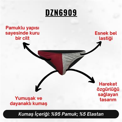 Bordo Gri Erkek Slip - DZN6909