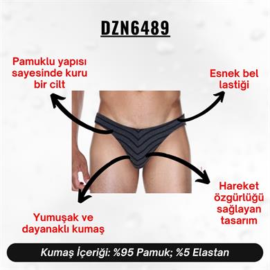 Çizgili Antrasit Erkek Slip - DZN6489