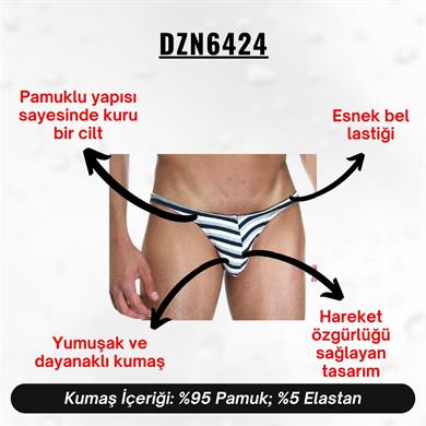 Çizgili Desenli Erkek Slip - DZN6424