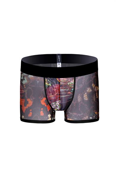 Desenli Transparan Erkek Kısa Boxer - DZN3251