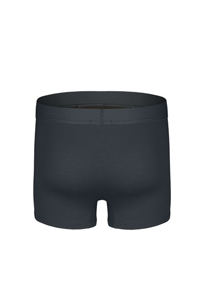 Erkek Antrasit Bambu Boxer - DZNBM2008