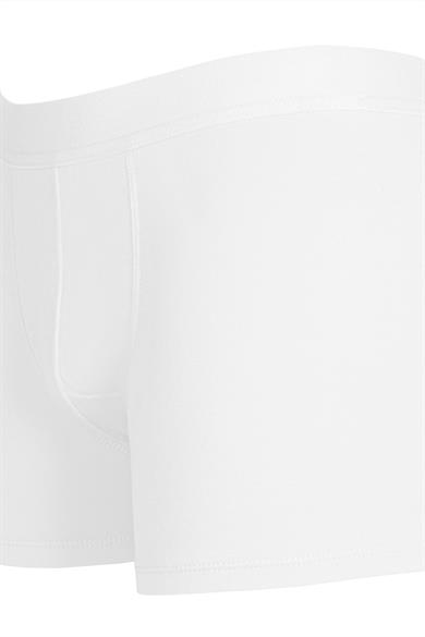 Erkek Beyaz Organik Pamuk Boxer - DZN2152