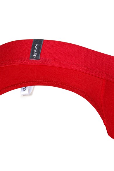 Erkek Lastikli Kırmızı Bambu Slip - DZNBM6306