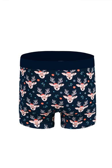Geyik Desenli Yılbaşı Erkek Boxer (Dijital Baskılı) - DZNNY0003