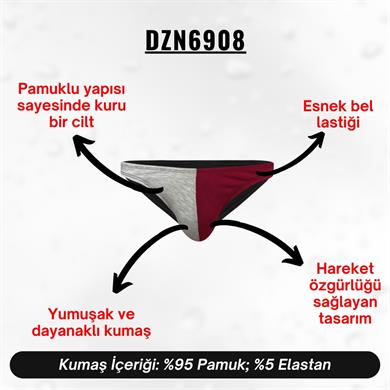 Gri Bordo Erkek Slip - DZN6908