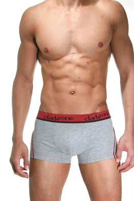 Bordo Çizgili Gri Erkek Boxer - DZN3103