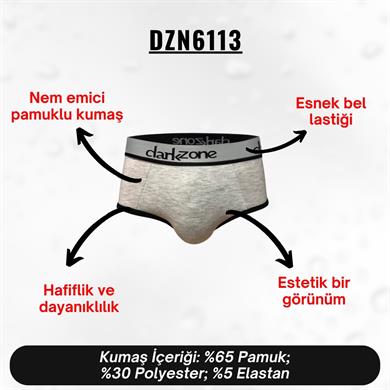 Gri Hipster Erkek Slip - DZN6113