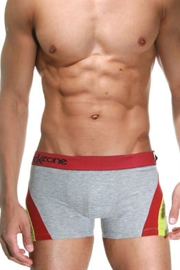 Gri Parçalı Desenli Erkek Boxer - DZN4103