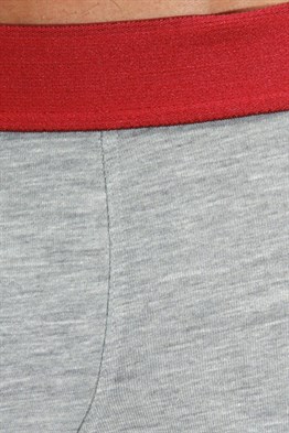 Gri Parçalı Desenli Erkek Boxer - DZN4103