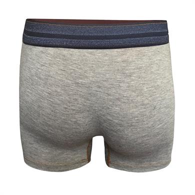 Kot Lastiği Desenli Gri Erkek Boxer - DZN2903