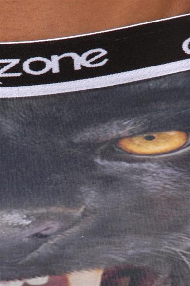 Kurt Desenli 3D Boxer - DZN1095