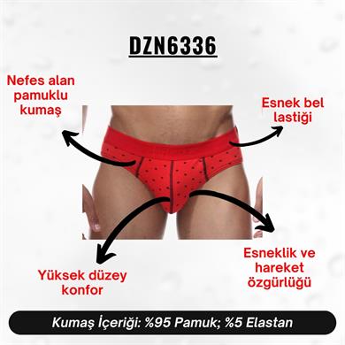 Lastikli Kalp Desenli Kırmızı Erkek Slip - DZN6336