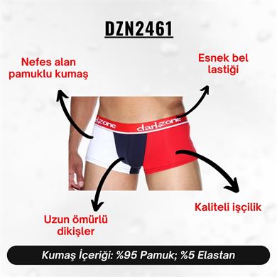 Renkli Erkek Hipster Boxer - DZN2461