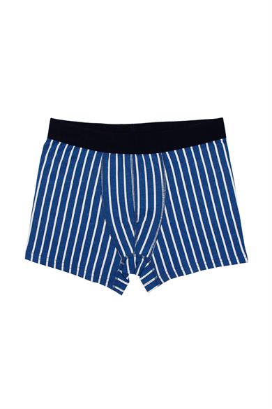 Wild Dog Erkek Pamuklu Çizgi Desenli Mavi Klasik Boxer - WD0020