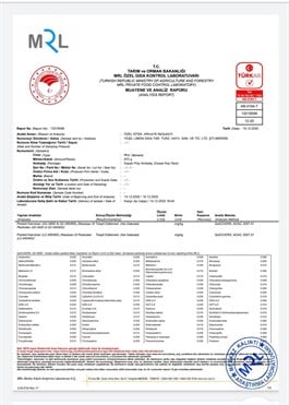 Yerli Muz - 1 Kg