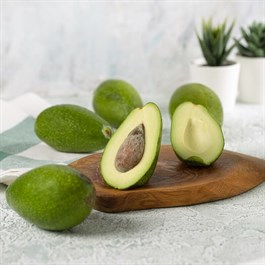 Avokado (Zutano) - 1 Kg