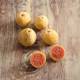 Guava - 900 Gr