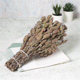 Karabaş Otu Çayı