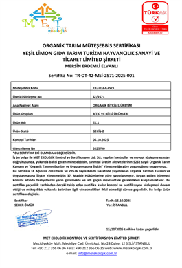 Kokteyl Domates - 500 Gr