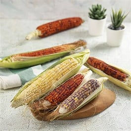 Yerli Mısır - 500 Gr