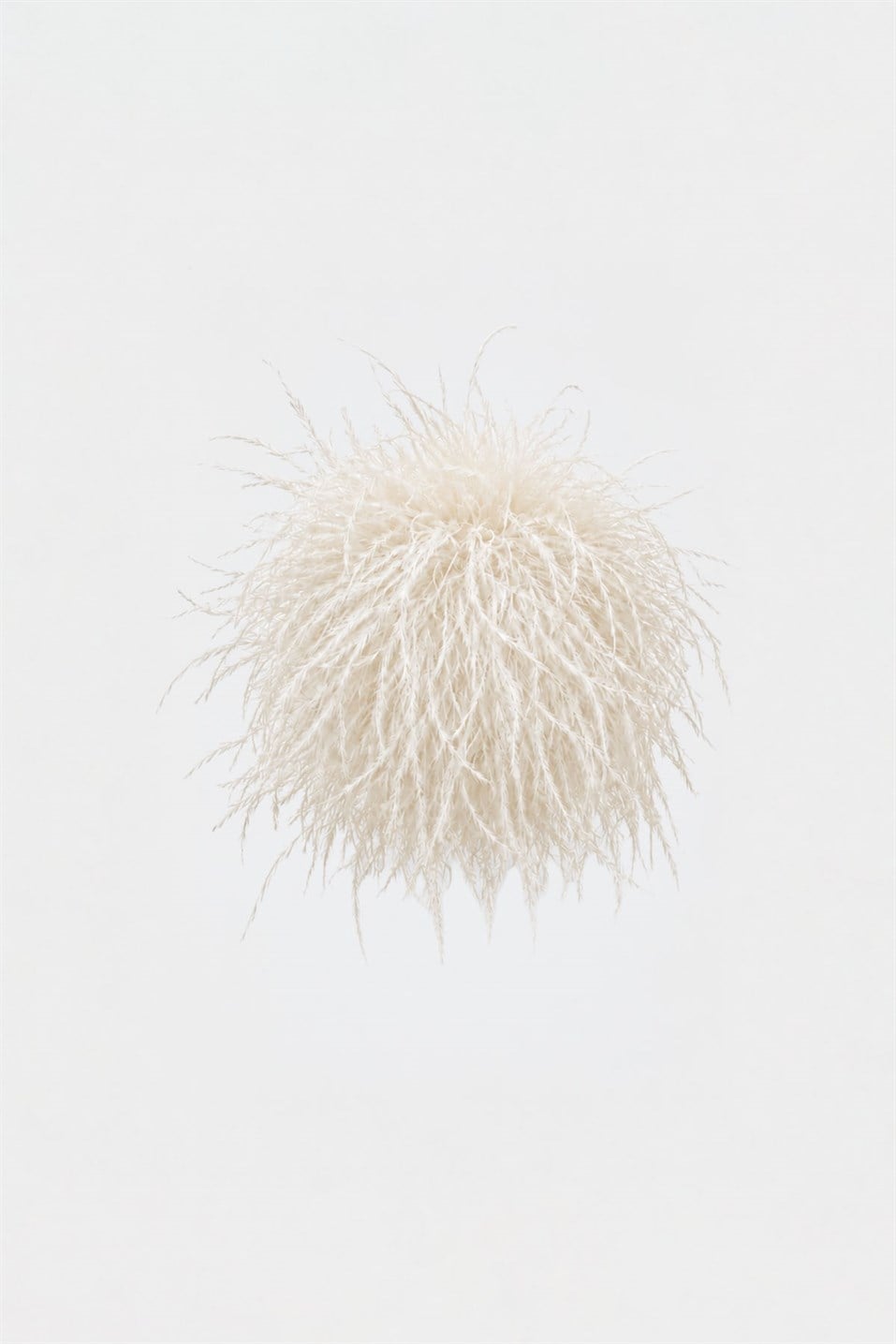 Ostrich Brooch