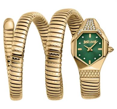 Just Cavalli JC1L370M0035 Kadın Kol Saati