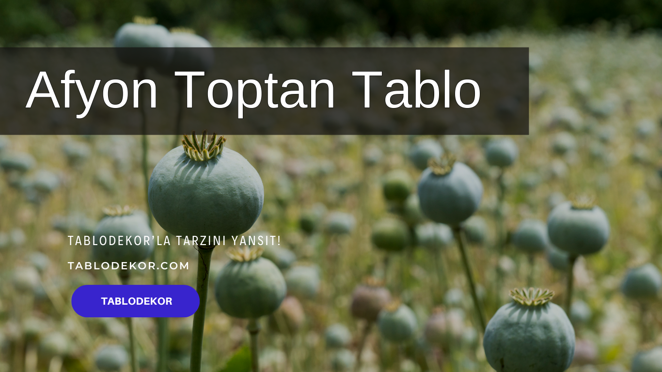 Afyon toptancılar, Afyon toptan ticaret, Afyon toptan tablo, Afyon kanvas tablo, toptan kanvas baskı, toptan kanvas tablo, yağlı boya tablo, tablodekor, tablodekor.com
