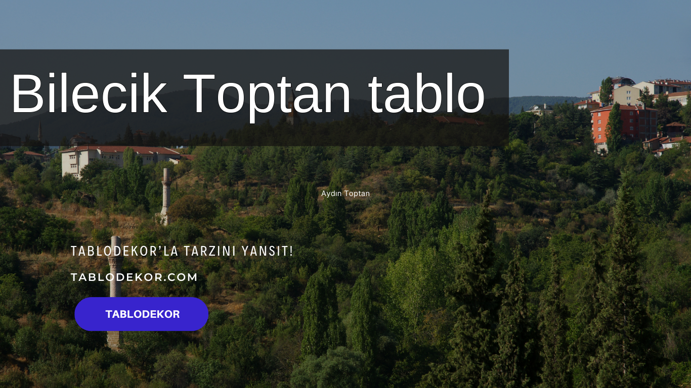 Bilecik toptancılar, Bilecik toptan ticaret, Bilecik toptan tablo, Bilecik kanvas tablo, toptan kanvas baskı, toptan kanvas tablo, yağlı boya tablo, tablodekor, tablodekor.com