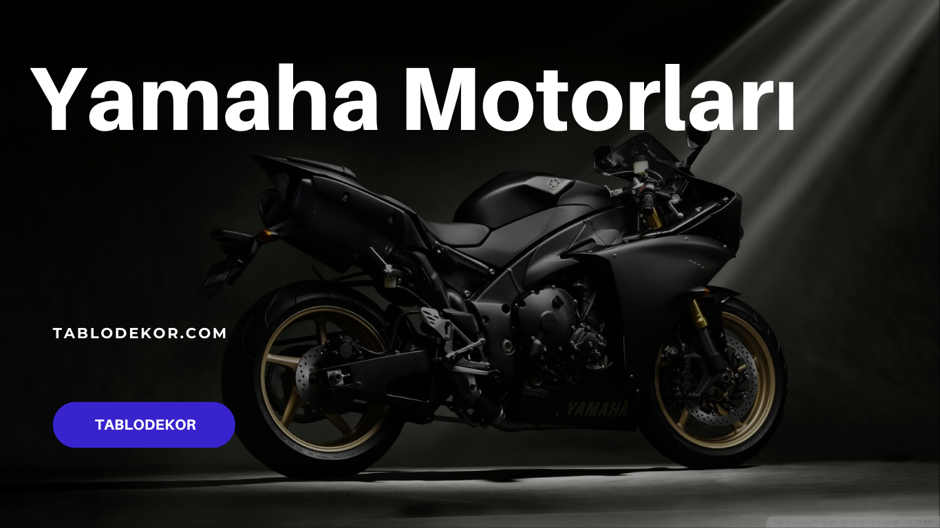 Yamaha, Honda, Kawasaki, Suzuki, Ducati, BMW Motorrad, motor, taşıtlar, motosiklet, kanvas tablo, yağlı boya tablo, tablodekor, tablodekor.com