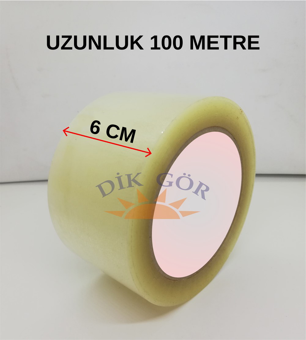 60x100 Koli Bandı