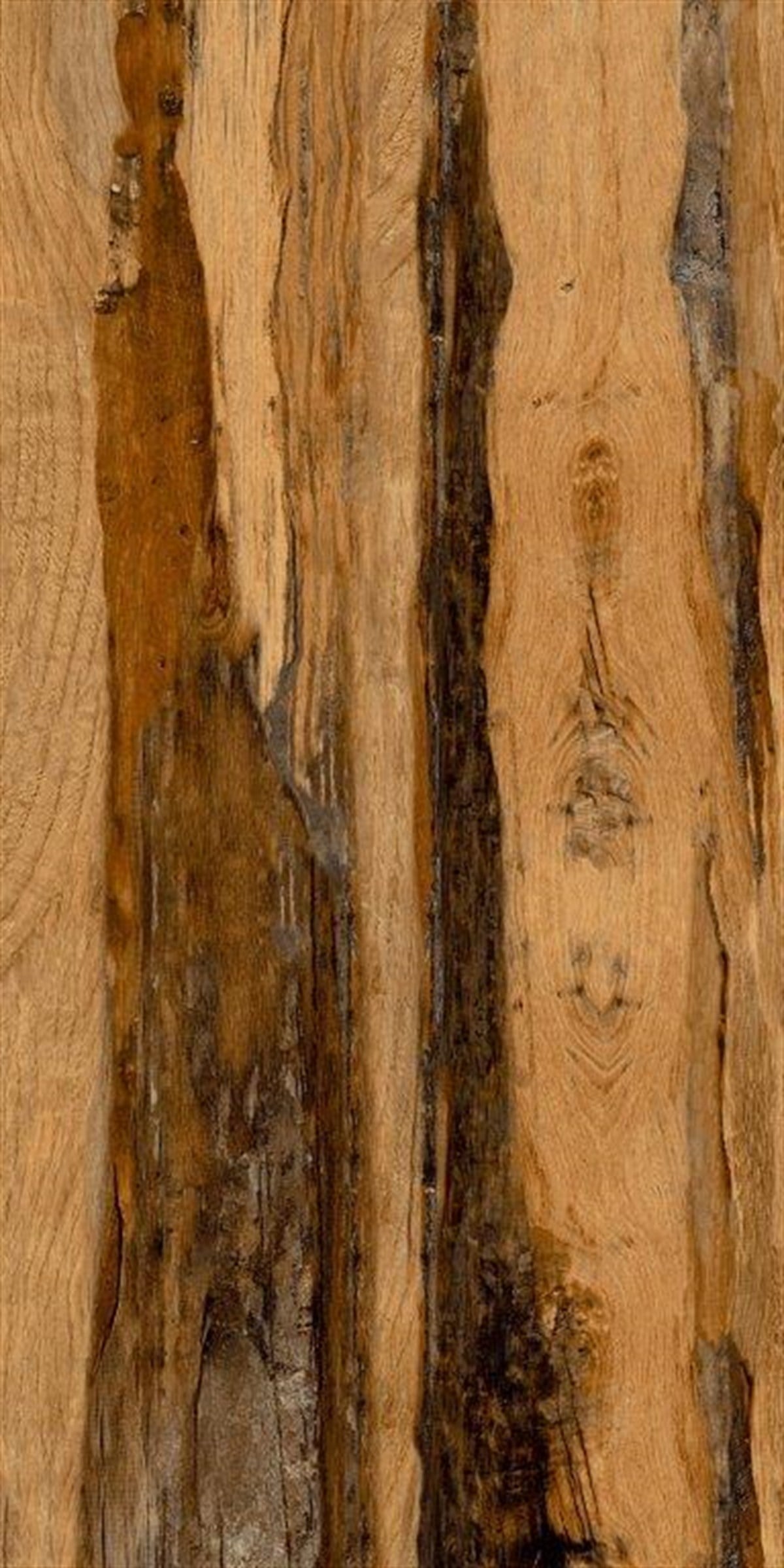 Decovita Burning Wood Grande 60x120 cm HDR Wood End