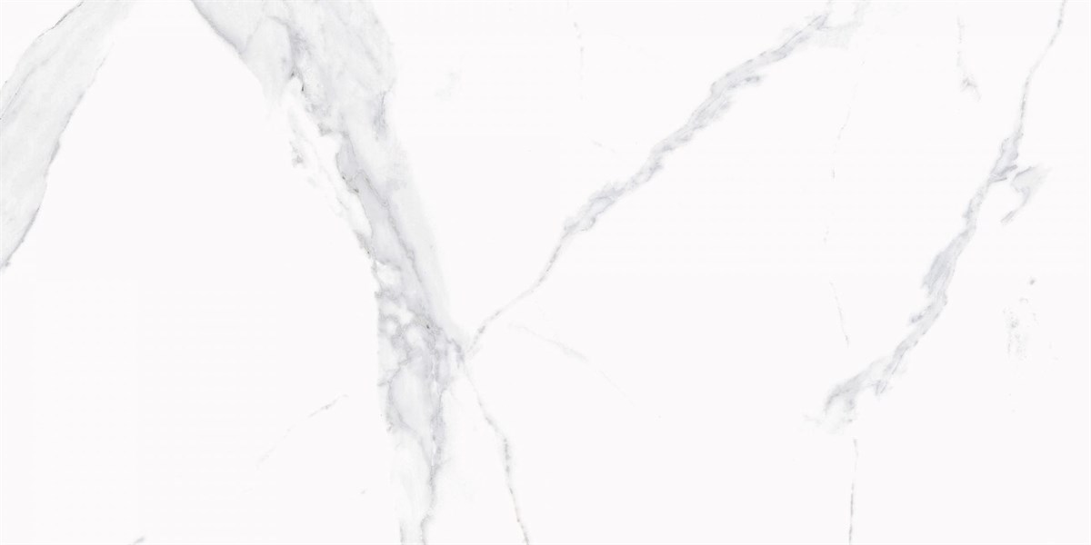 Rino Venato Grey 60x120 cm Full Lappato