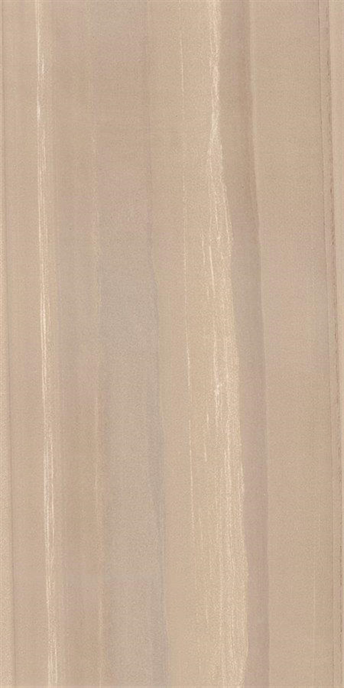 Decovita Evolve Ivory Sugar Effect 60x120 cm